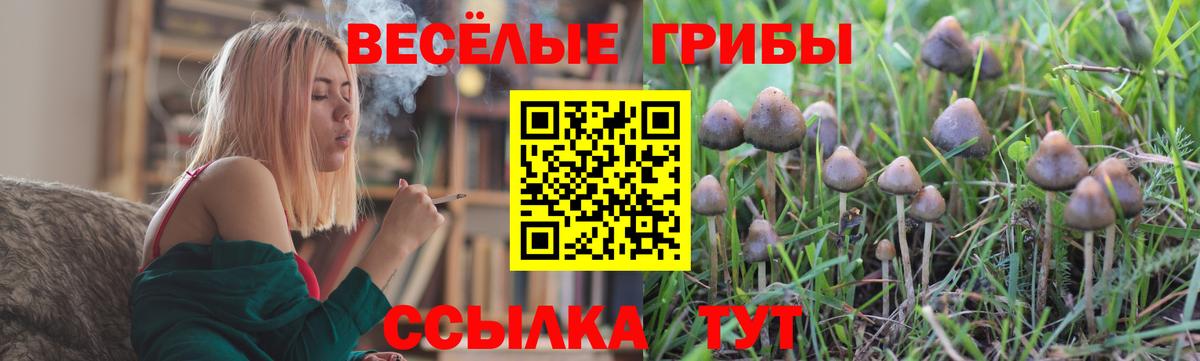Галлюциногенные грибы ЛСД Мценск